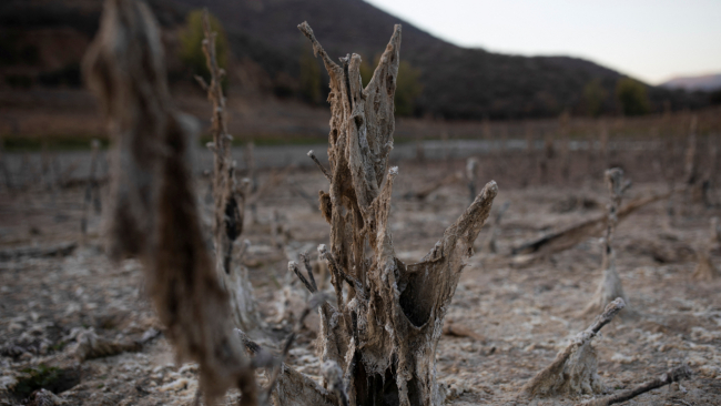 Kuraklık sebebiyle kuruyan Rungue su kaynağı. Şili. | Fotoğraf: Reuters